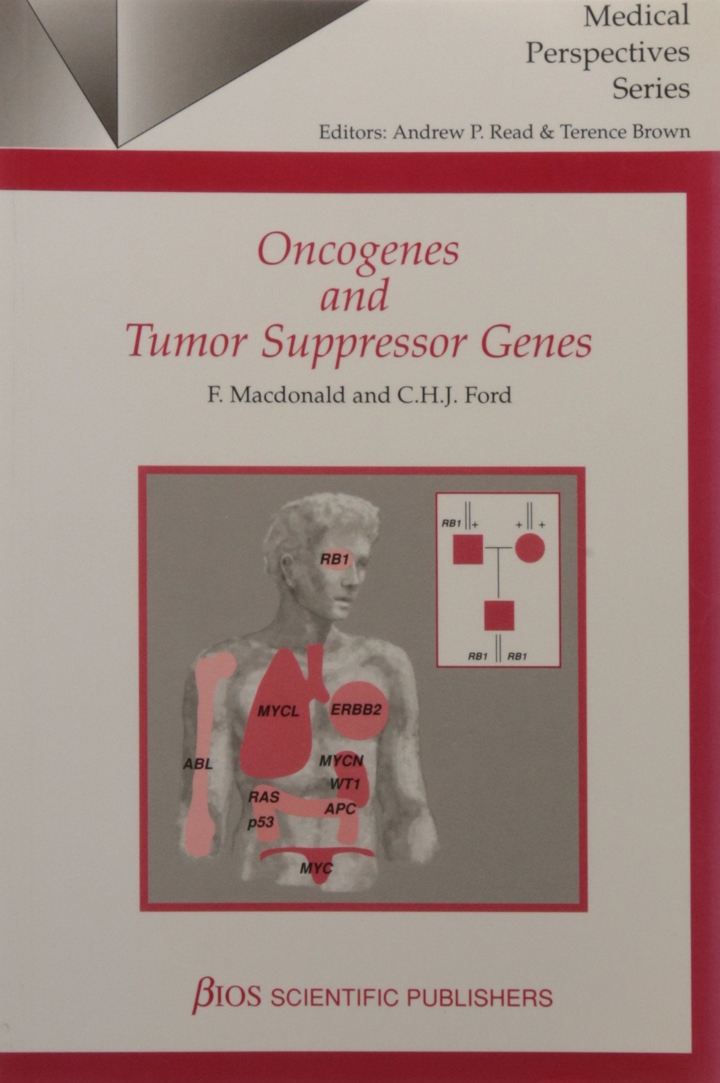 Oncogenes and Tumor Suppressor Genes (Medical Perspectives S.) Medicine
