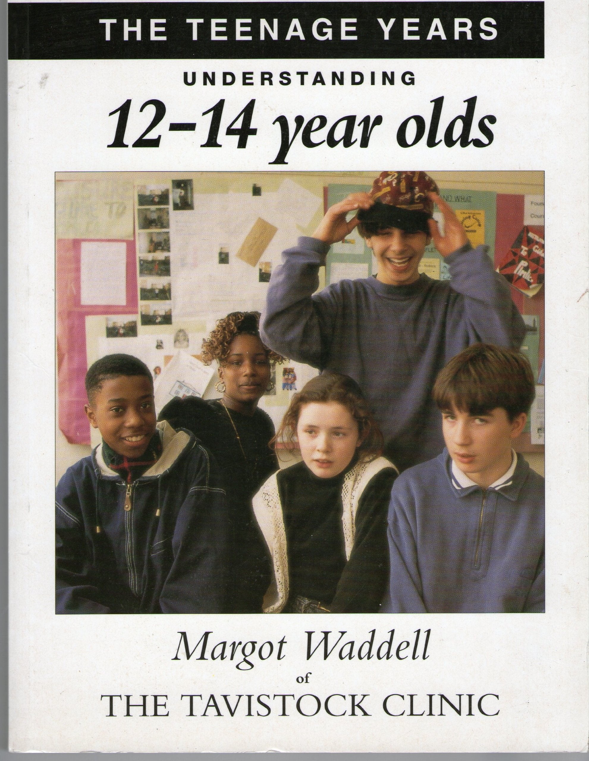 Understanding Your 12-14 Year Old (Understanding Your Child S.) book