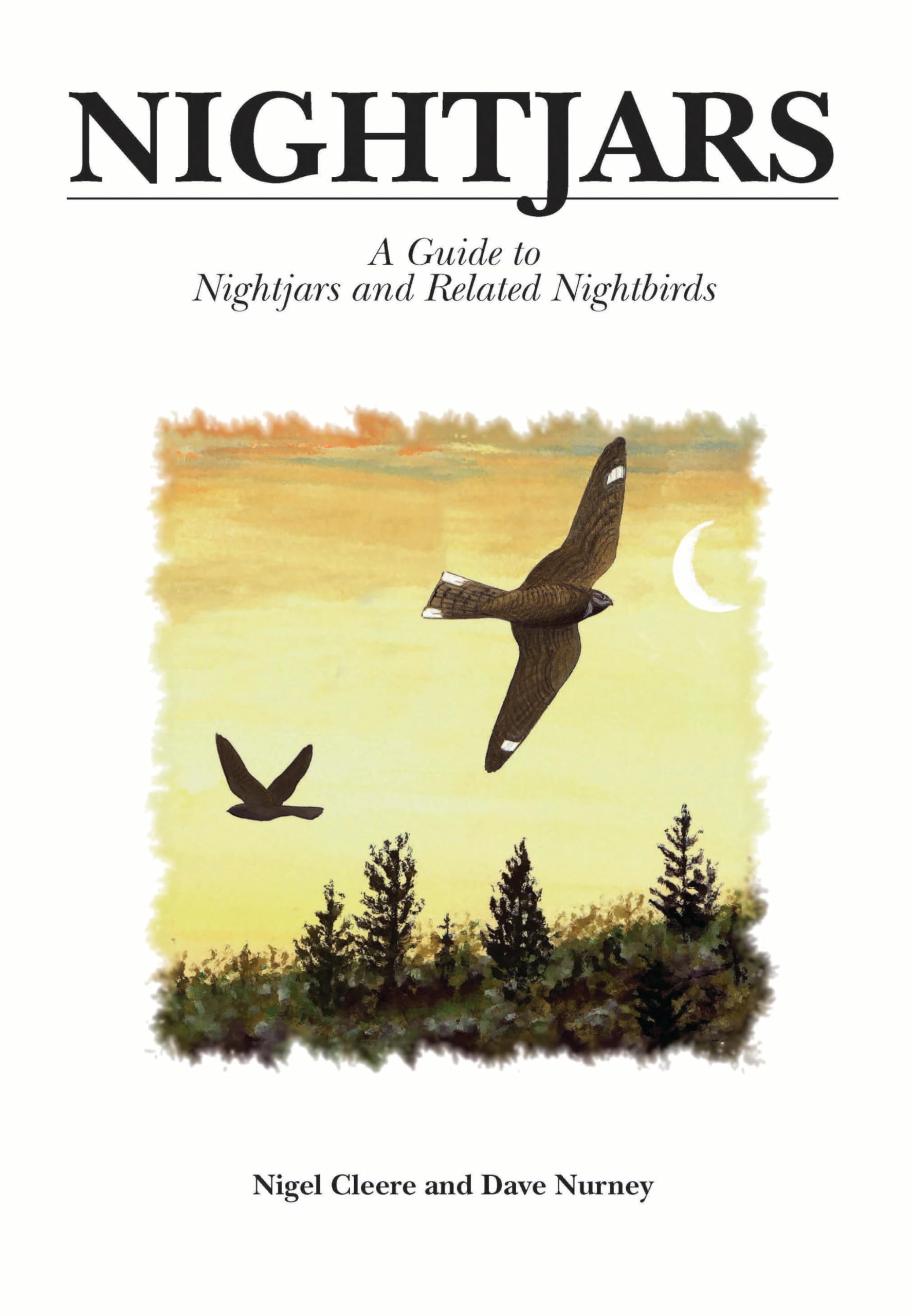 Nightjars: A Guide to Nightjars and related birds Leisure, Home & Garden