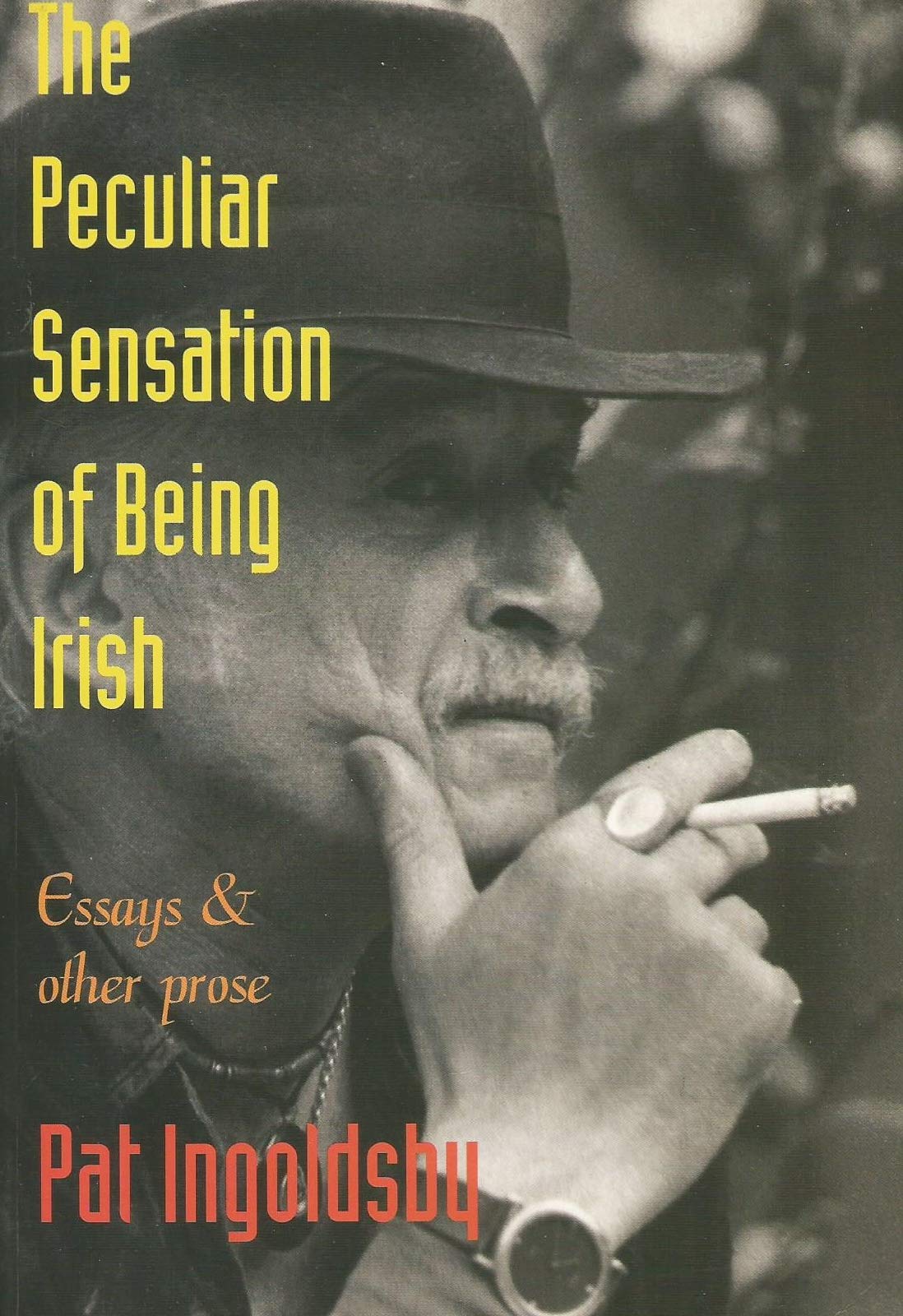 The Peculiar Sensation of Being Irish: Essays and Prose Essays & Short Stories