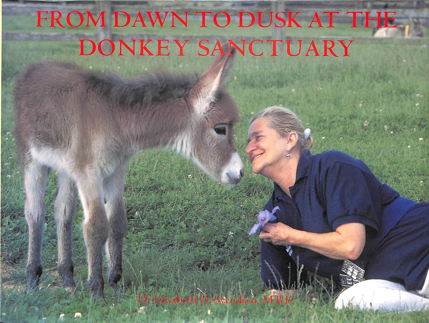 From Dawn to Dusk at the Donkey Sanctuary Books