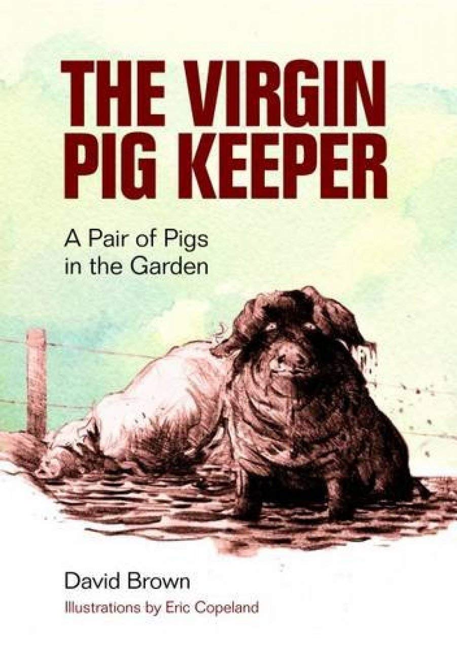The Virgin Pig Keeper: A Pair of Pigs in the Garden Leisure, Home & Garden