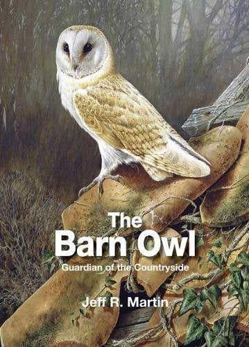 Product Image: The Barn Owl