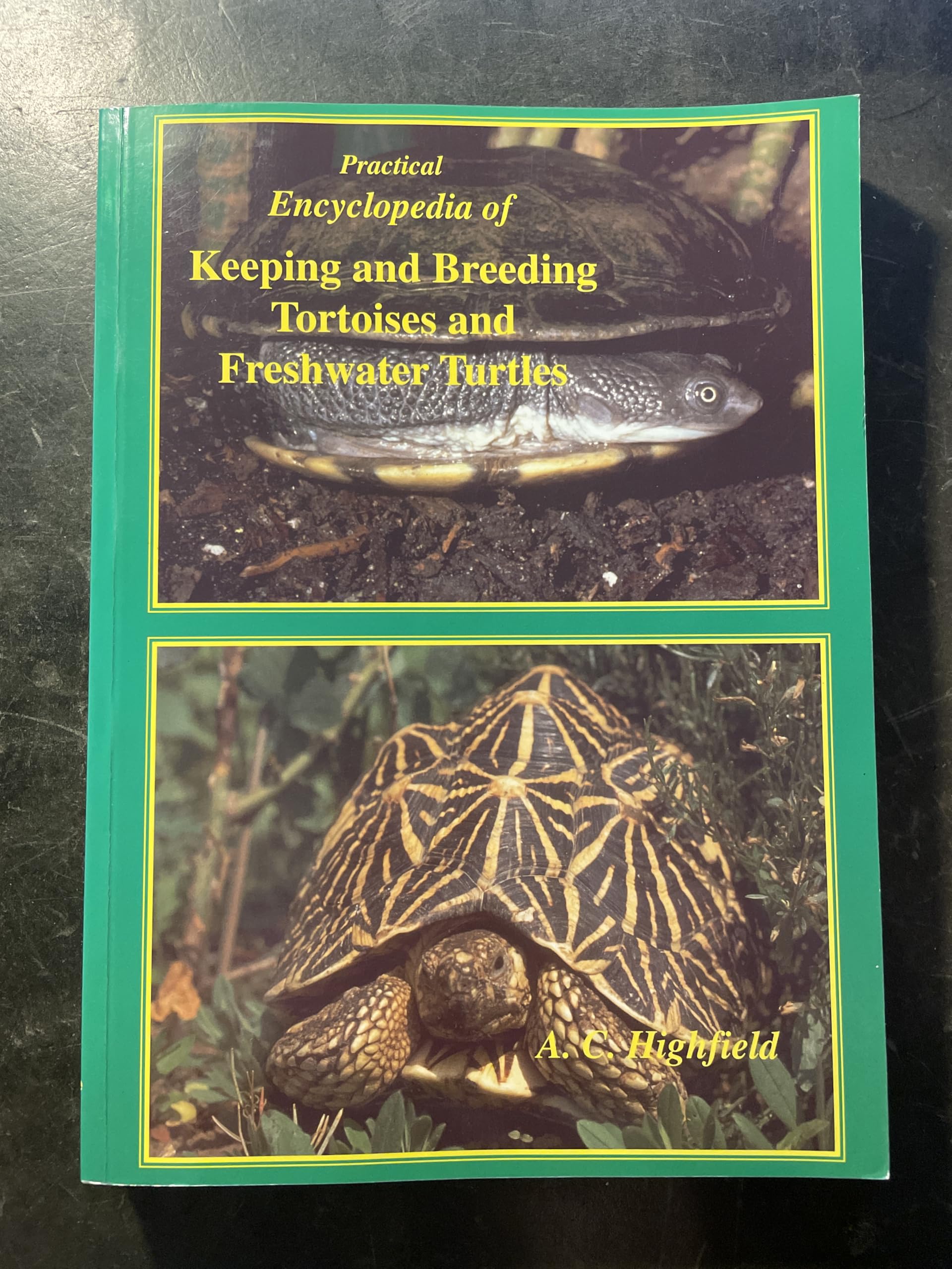 Practical Encyclopedia of Keeping and Breeding Tortoises and Freshwater Turtles Mathematics