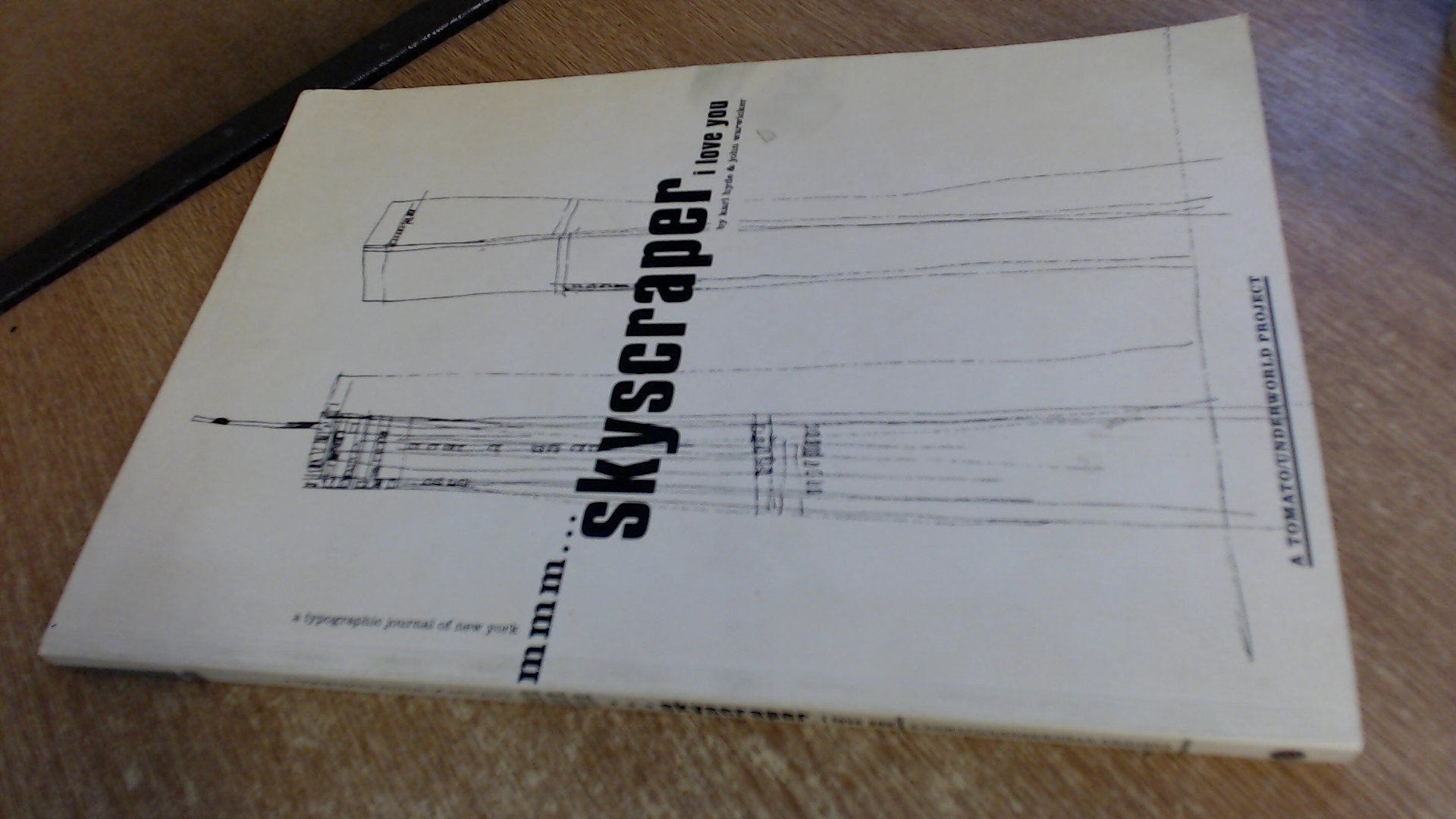 Mmm...Skyscraper I Love You: A Typographic Journal of New York Architecture