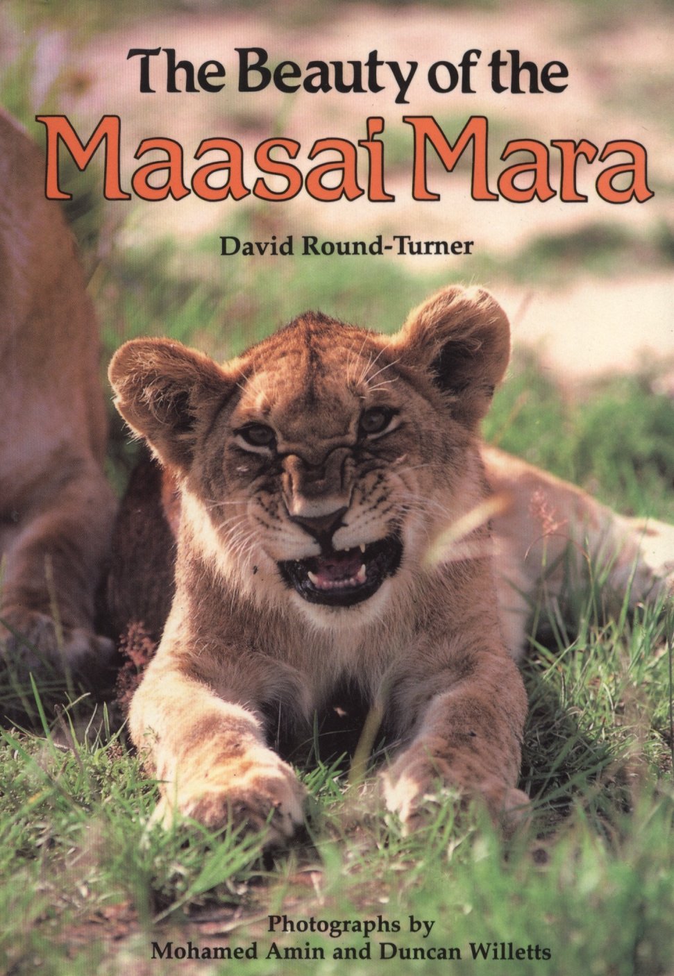 The Beauty of the Maasai Mara Social Sciences