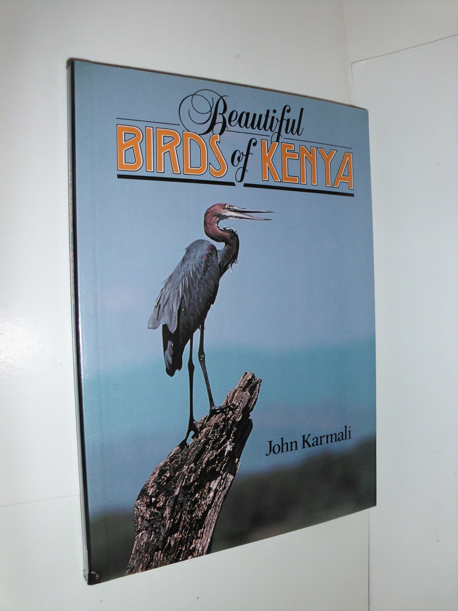 Beautiful Birds of Kenya Mathematics