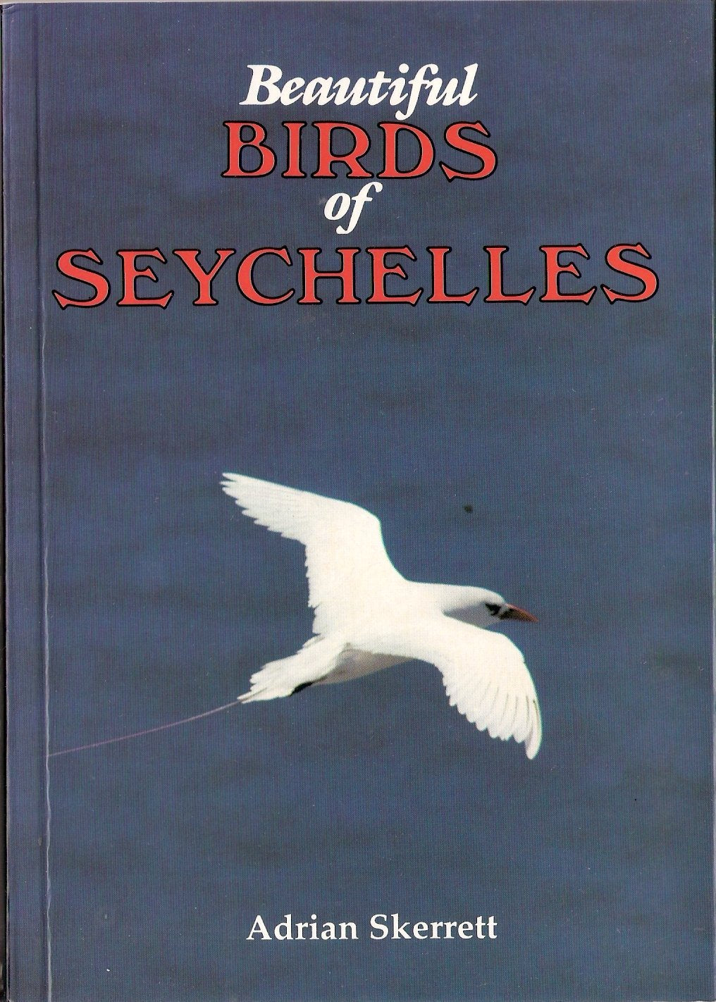 The Beautiful Birds of Seychelles Mathematics
