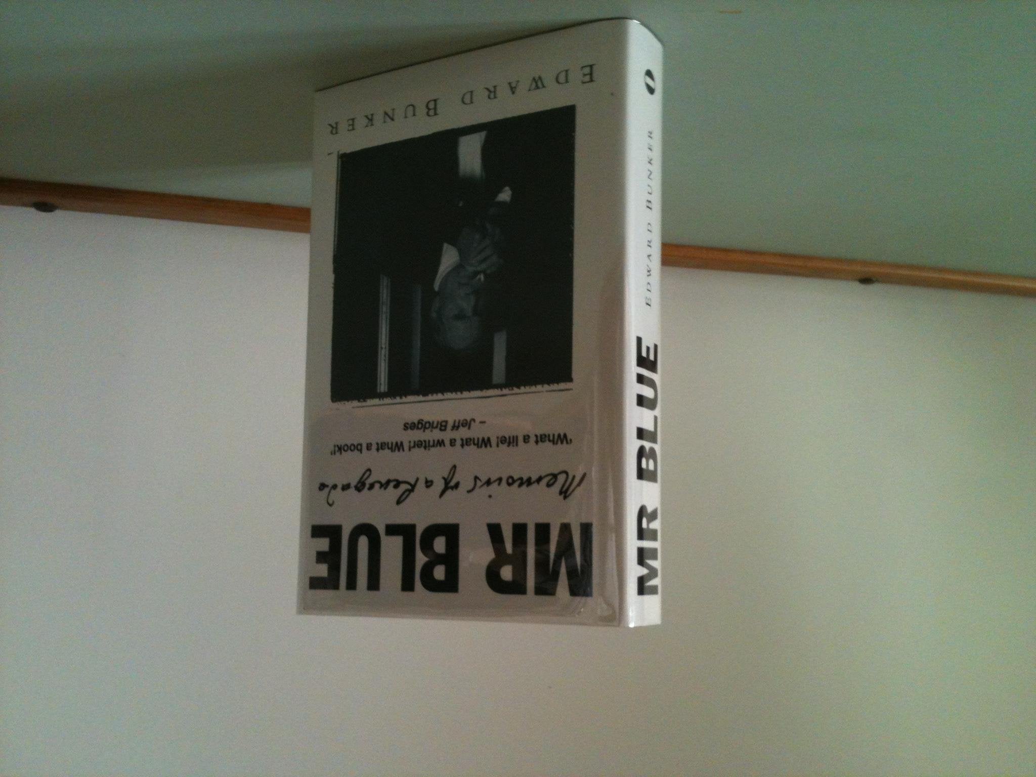 Mr Blue: Memoirs of a Renegade Contemporary literature