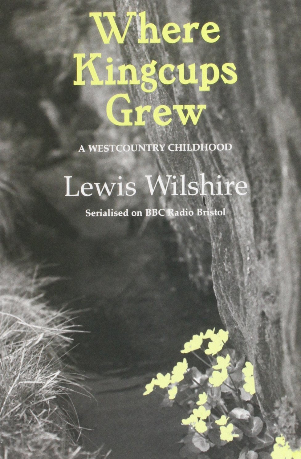 Where Kingcups Grew: A West Country Childhood Memories