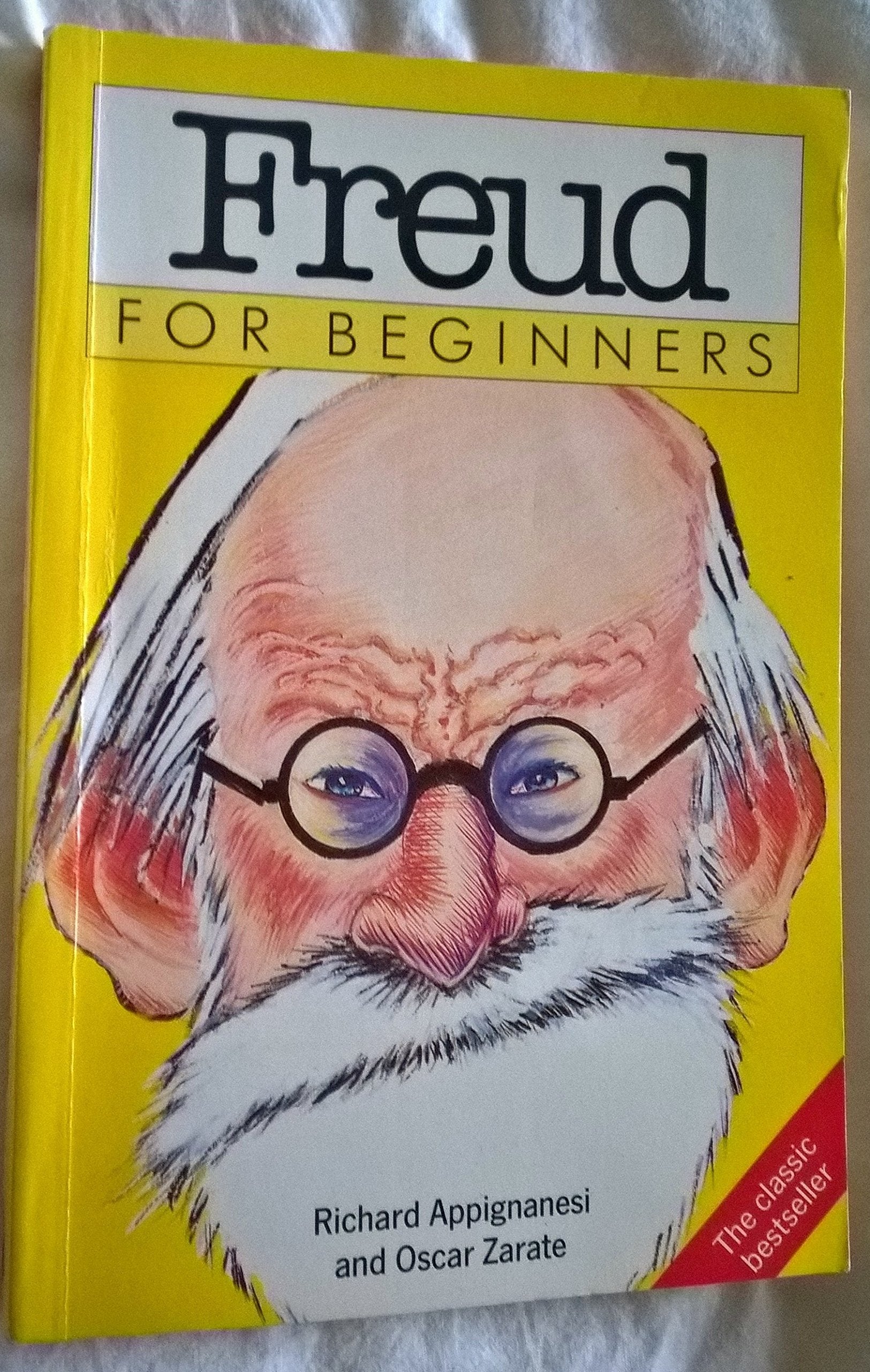 Freud for Beginners Lifestyle Books