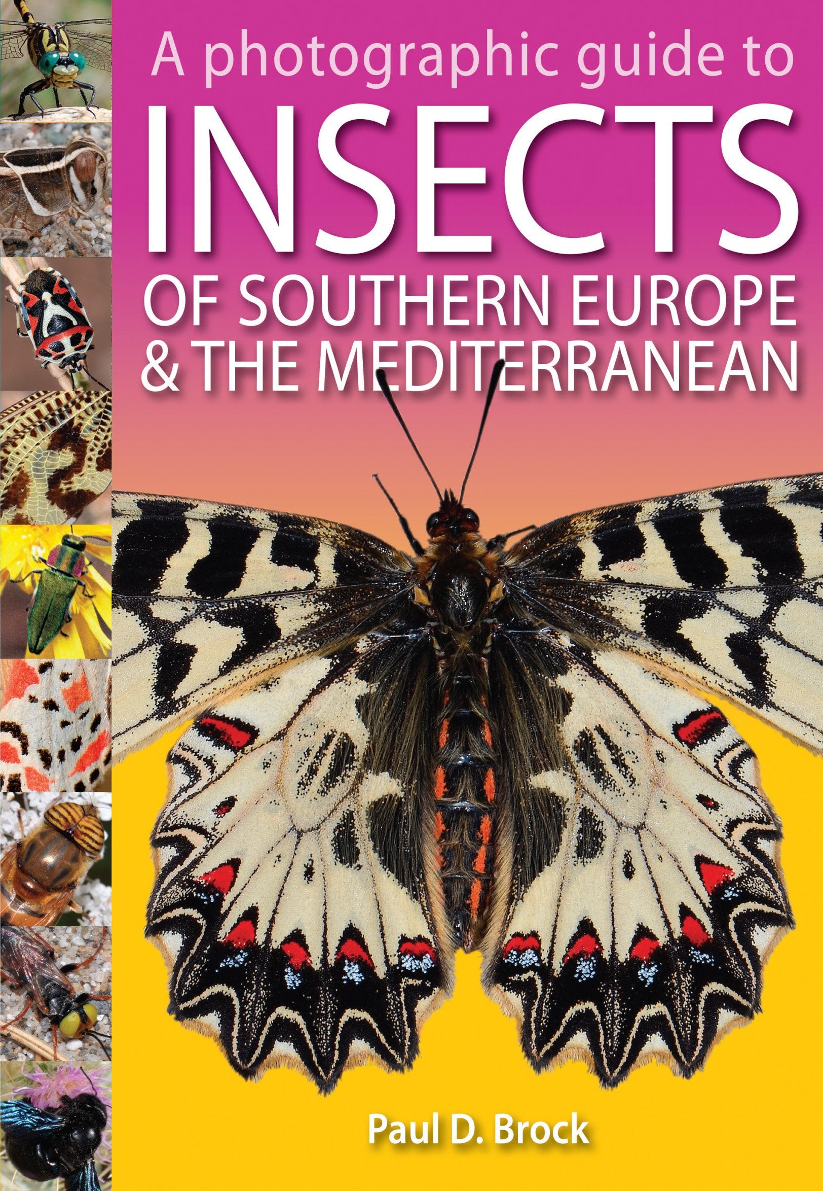 A Photographic Guide to Insects of Southern Europe and the Mediterranean Leisure, Home & Garden