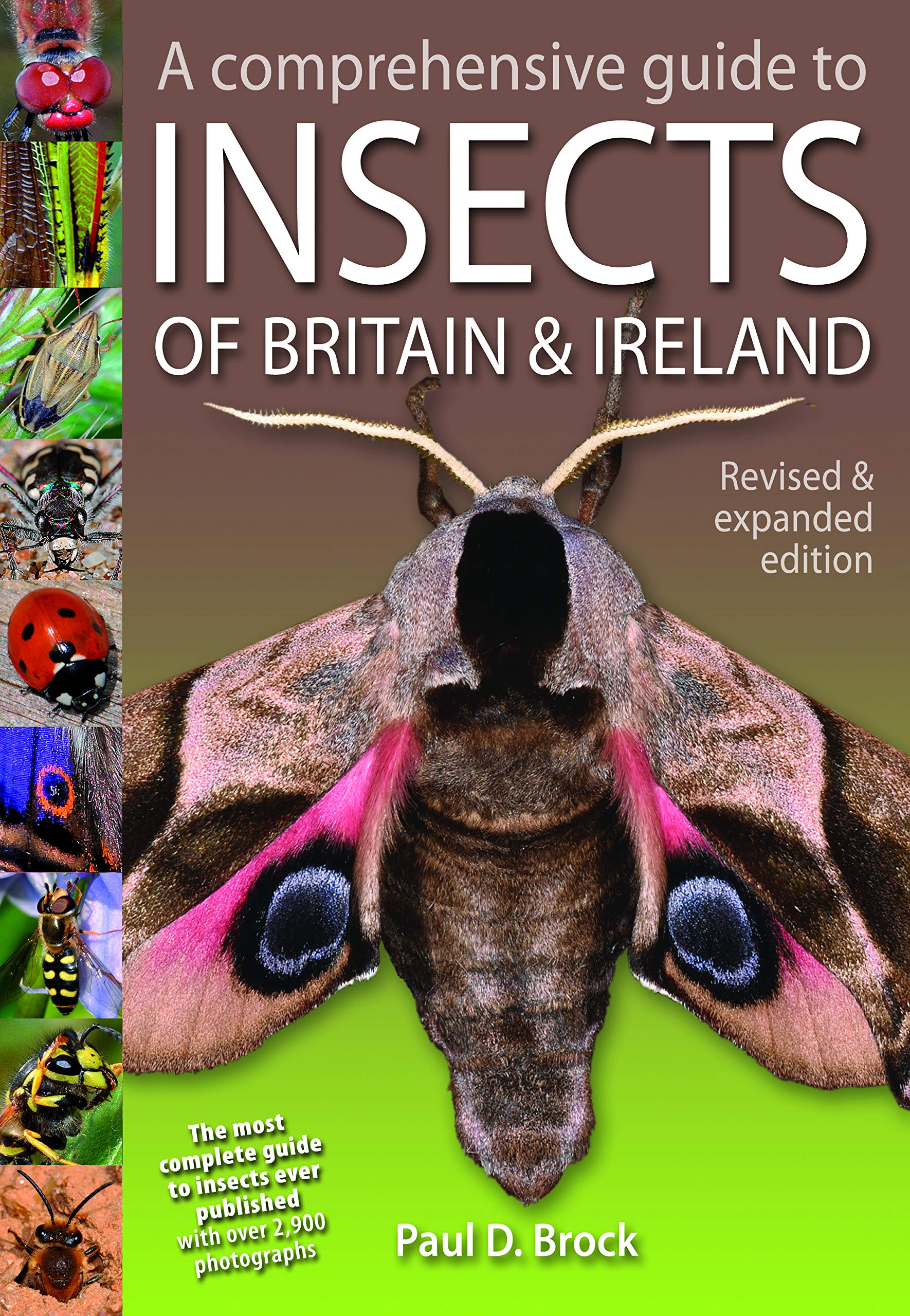 A Comprehensive Guide to Insects of Britain and Ireland Natural Sciences