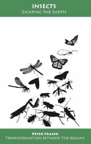 Product Image: Insects: Escaping the Earth (Transformation Between the Realms)
