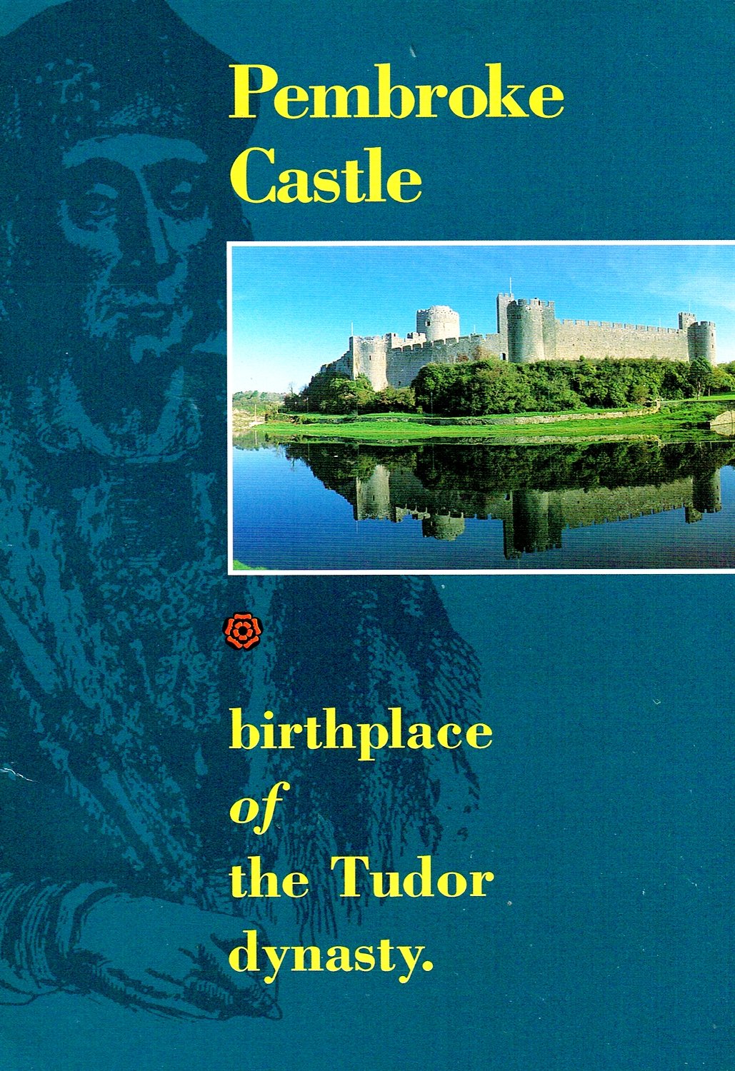 Pembroke Castle: Birthplace of the Tudor Dynasty book