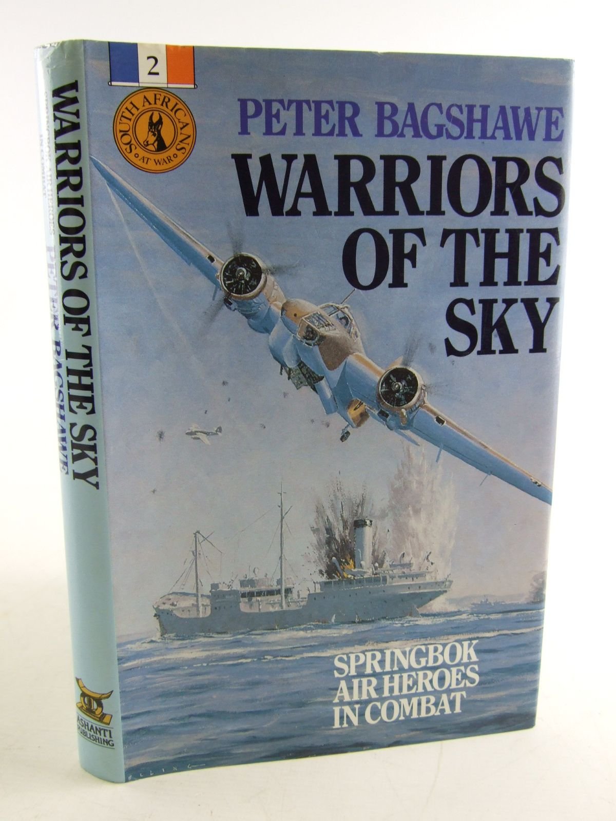 Warriors of the Sky: Springbok Air Heroes in Conflict book