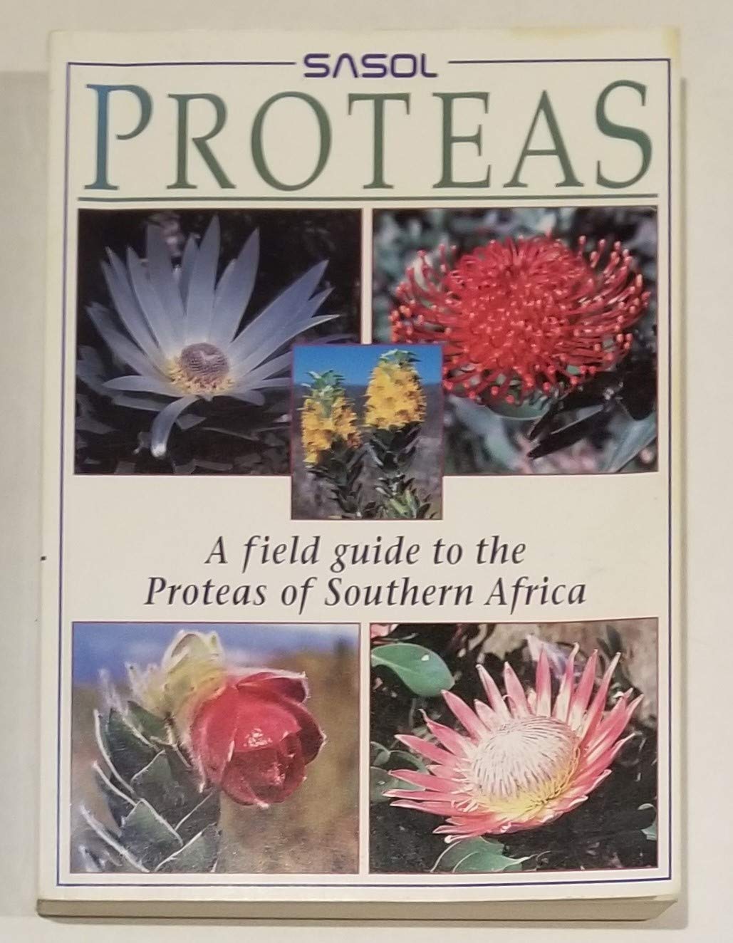 Sasol Proteas: A Field Guide to the Proteas of Southern Africa book