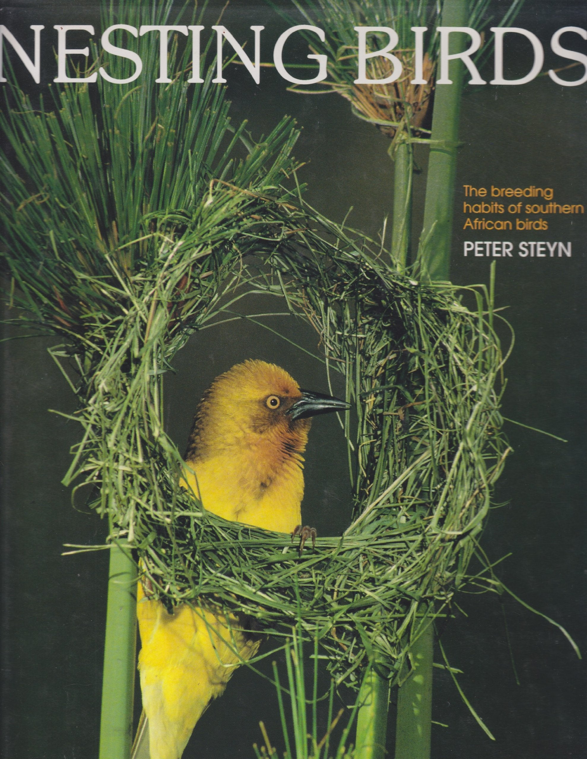 Nesting Birds: the Breeding Habits of Southern African Birds book