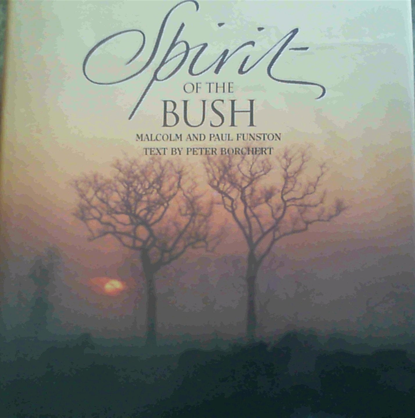 Spirit of the Bush Mathematics