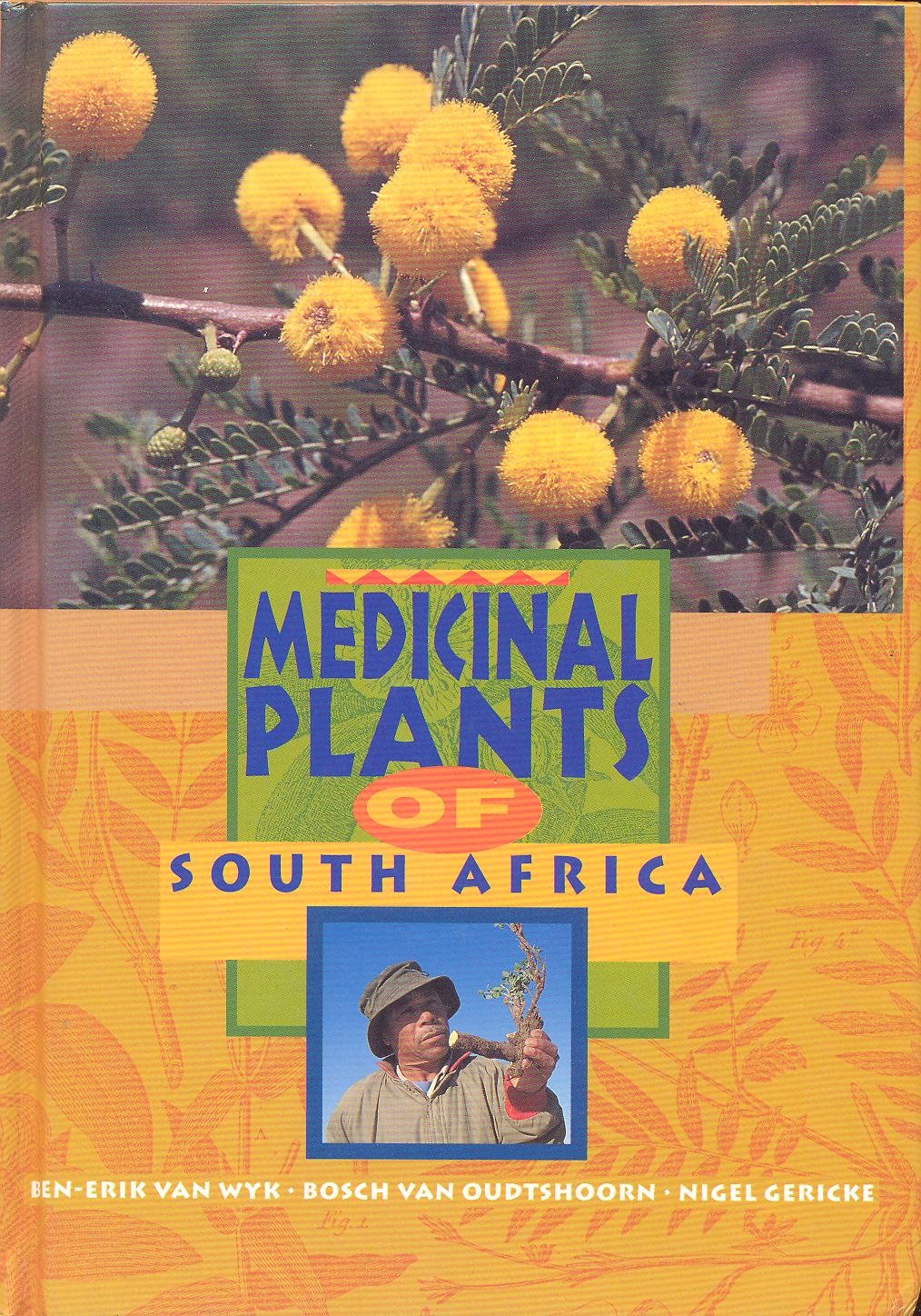 Medicinal plants of South Africa Medicine