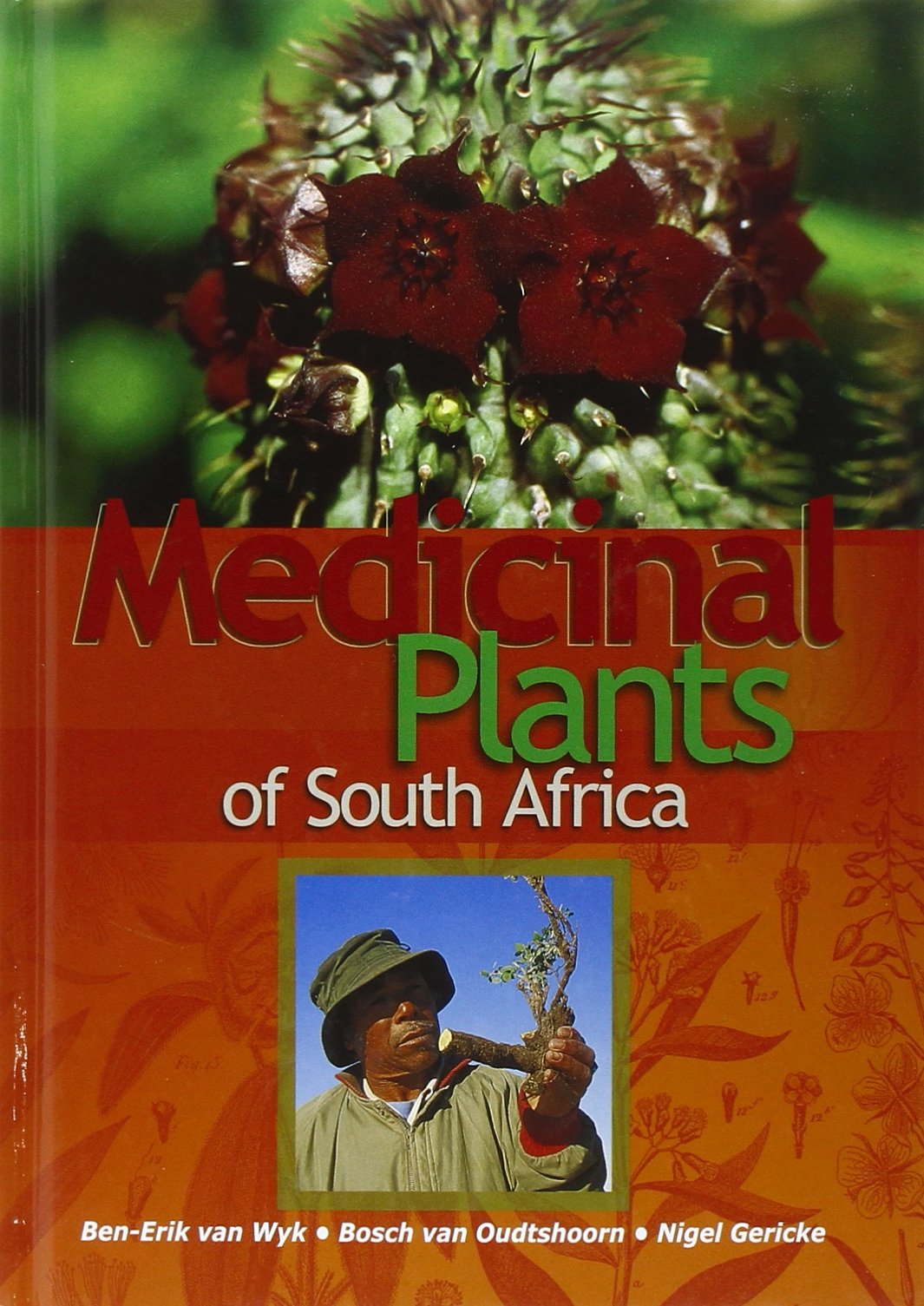 Medicinal Plants of South Africa Mathematics