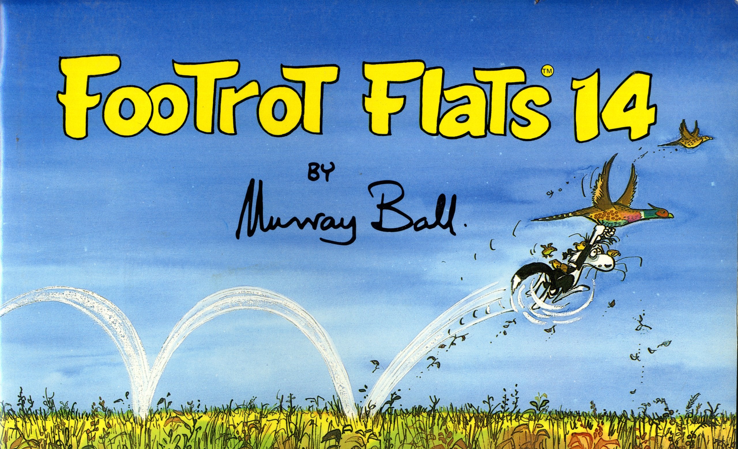 Footrot Flats 14 (The Footrot Flats) Books