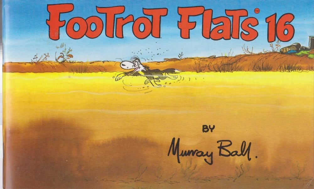 Product Image: Footrot flats 16