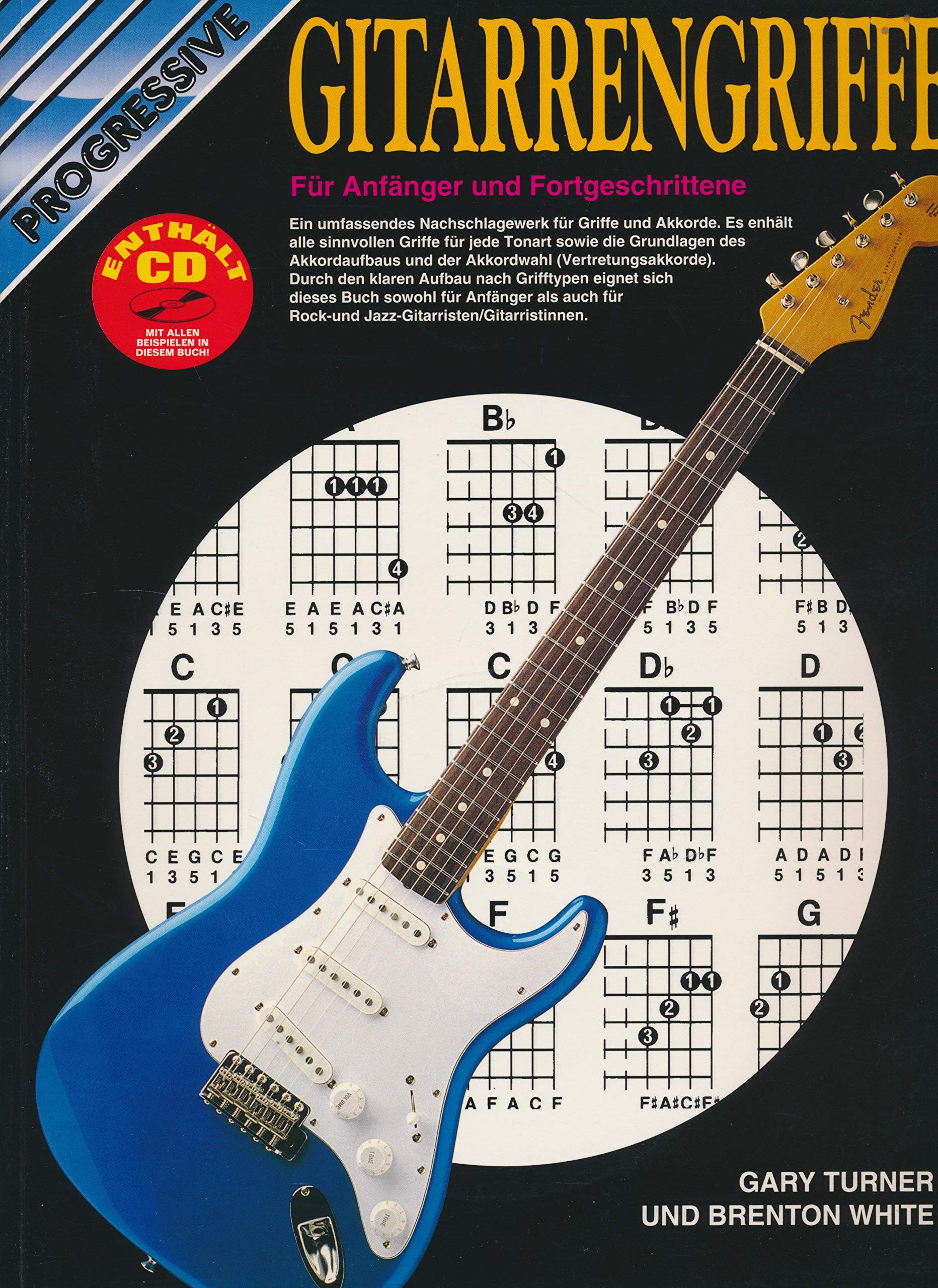 Progressive Gitarrengriffe für Anfänger und Fortgeschrittene - mit CD Books