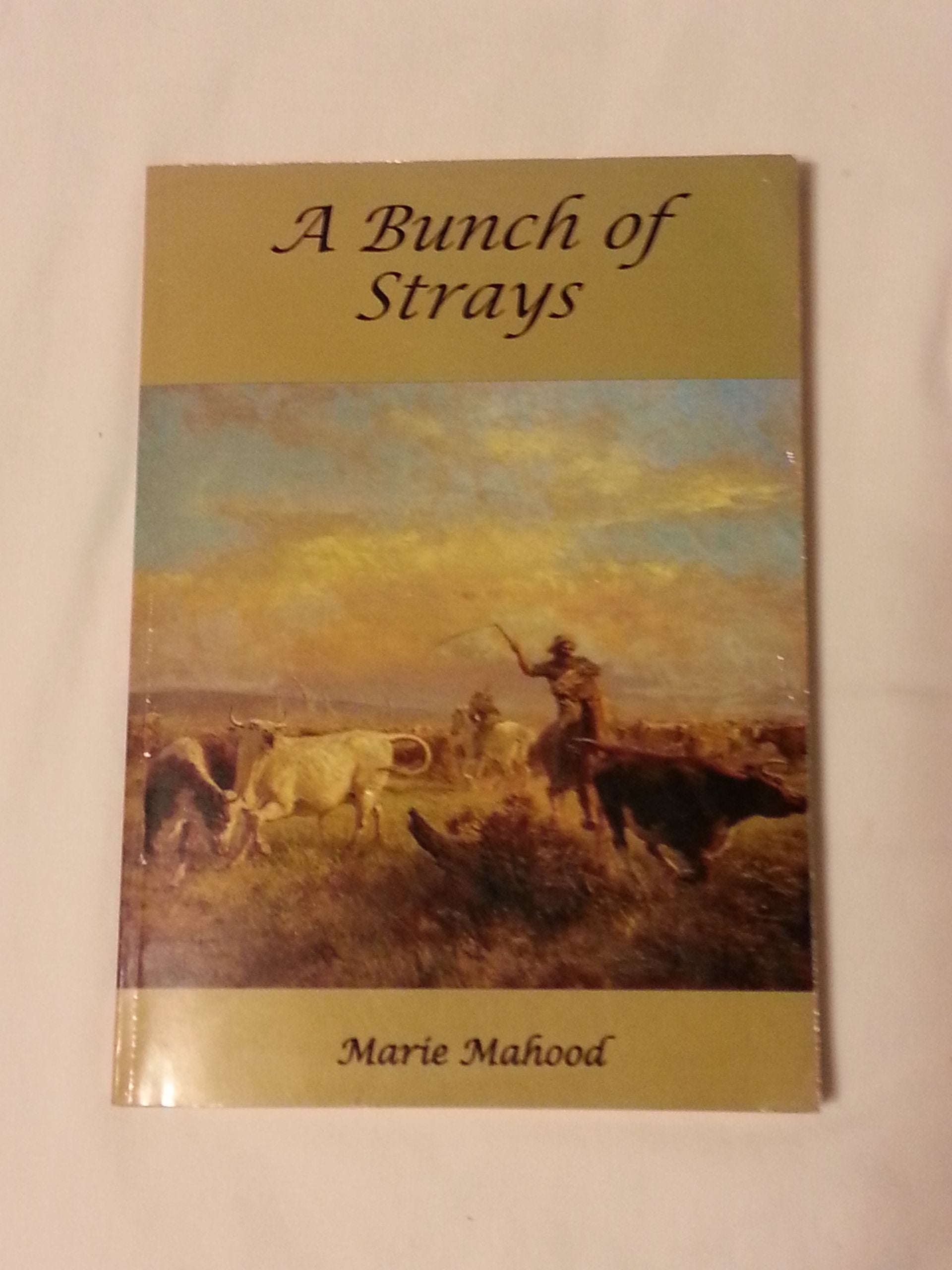 A bunch of strays: A novel of the outback by Mahood, Marie Books