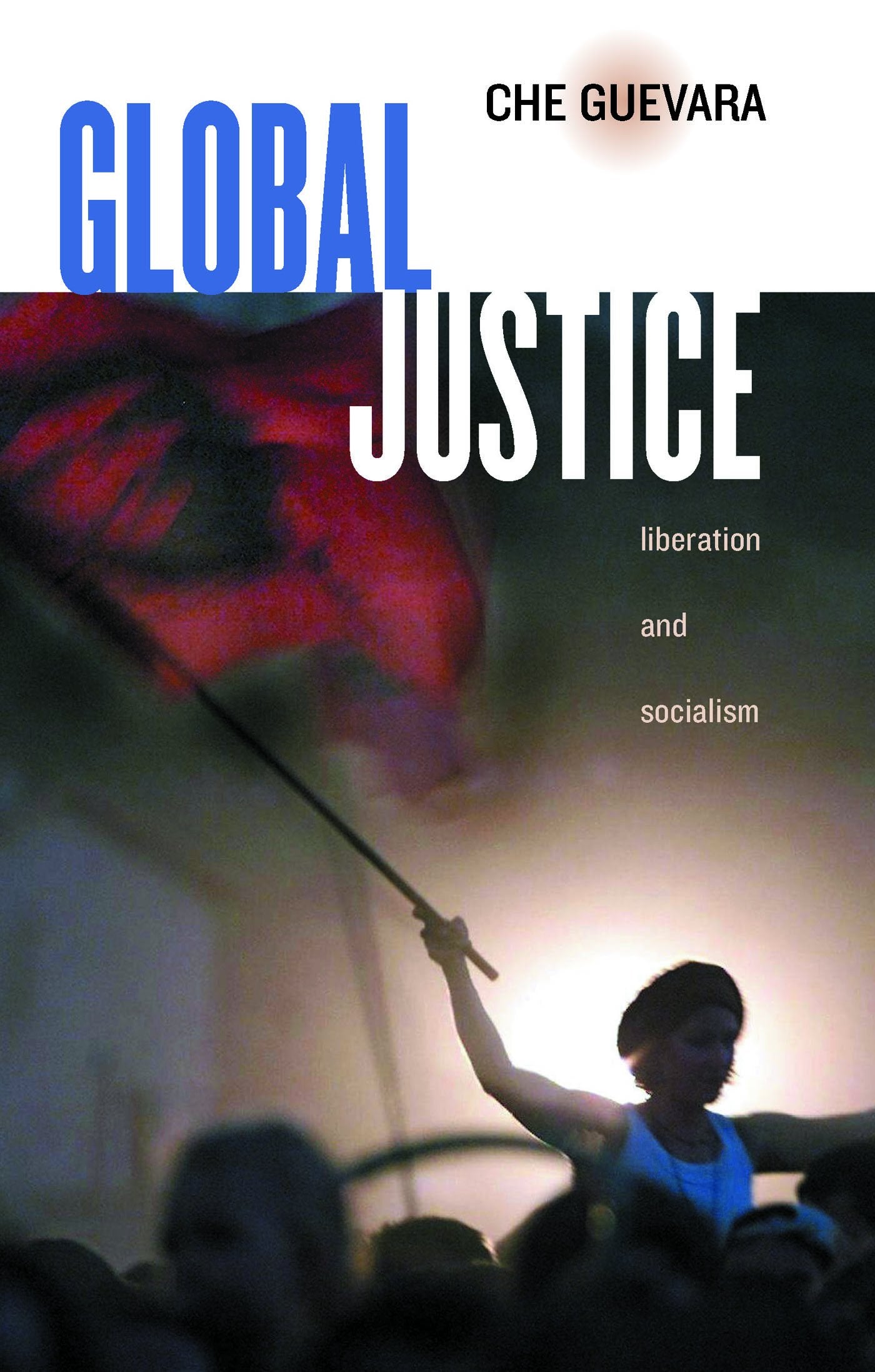 Global Justice: Liberation and Socialism Books