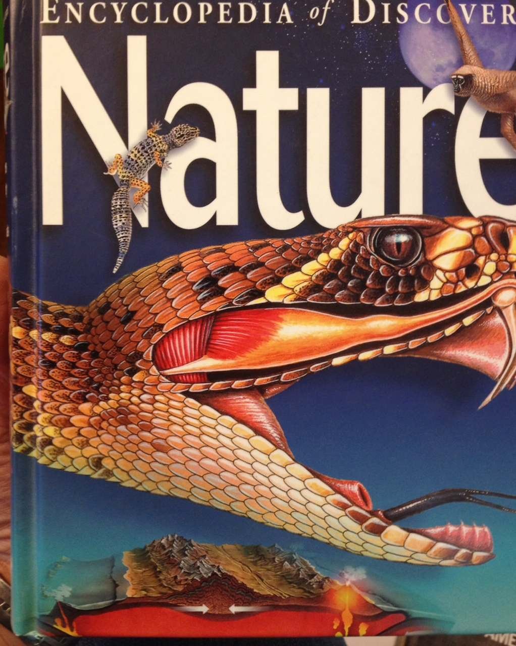 Nature: Encyclopedia of Discovery Natural Sciences