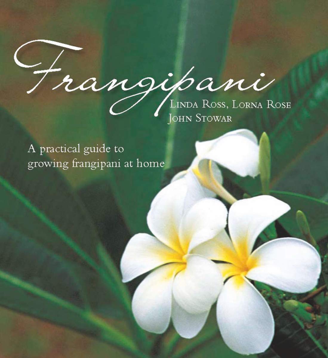 Frangipani: A Practical Guide to Growing Frangipani at Home book