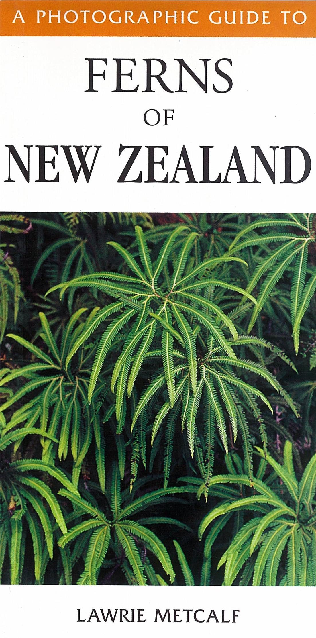 Photographic Guide To Ferns Of New Zealand Mathematics