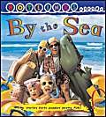 By the Sea - Hotlinks Level 15 Book Banded Guided Reading book