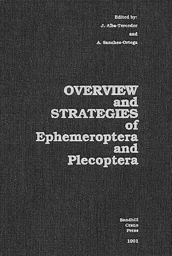 Overview and Strategies of Ephemeroptera and Plecoptera Mathematics