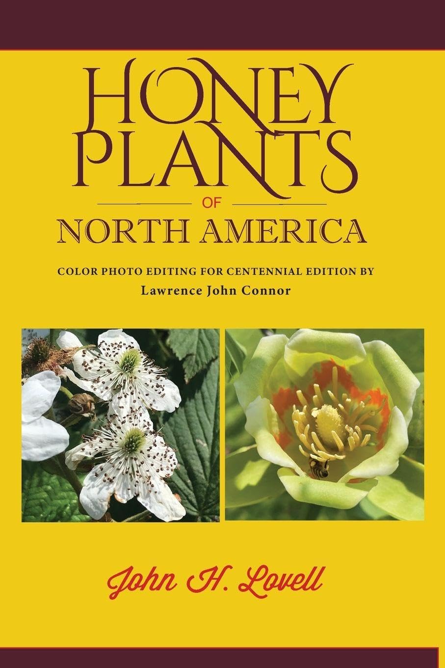 Honey Plants of North America (North of Mexico) Mathematics