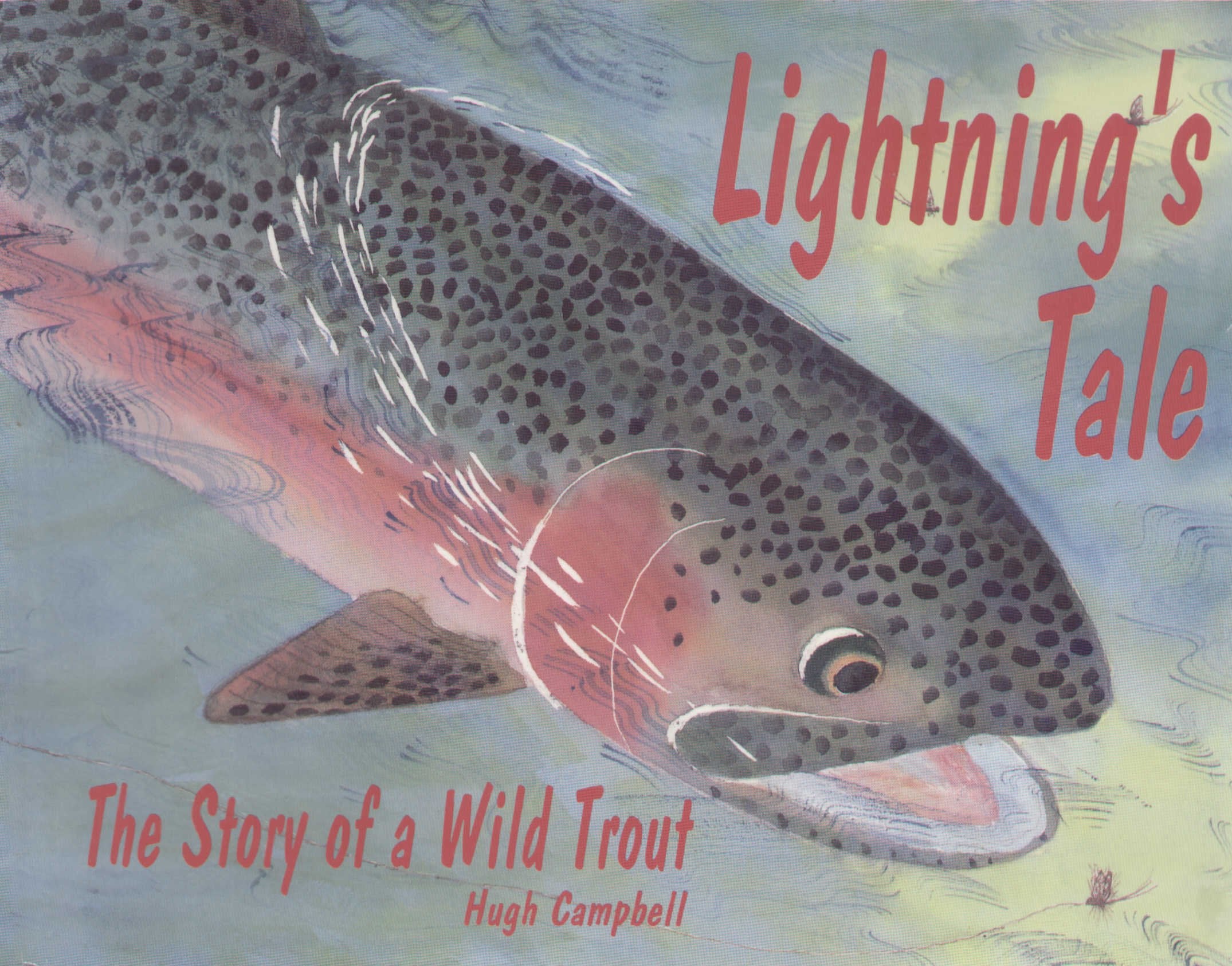 Lightning's Tale: The Story of a Wild Trout Books