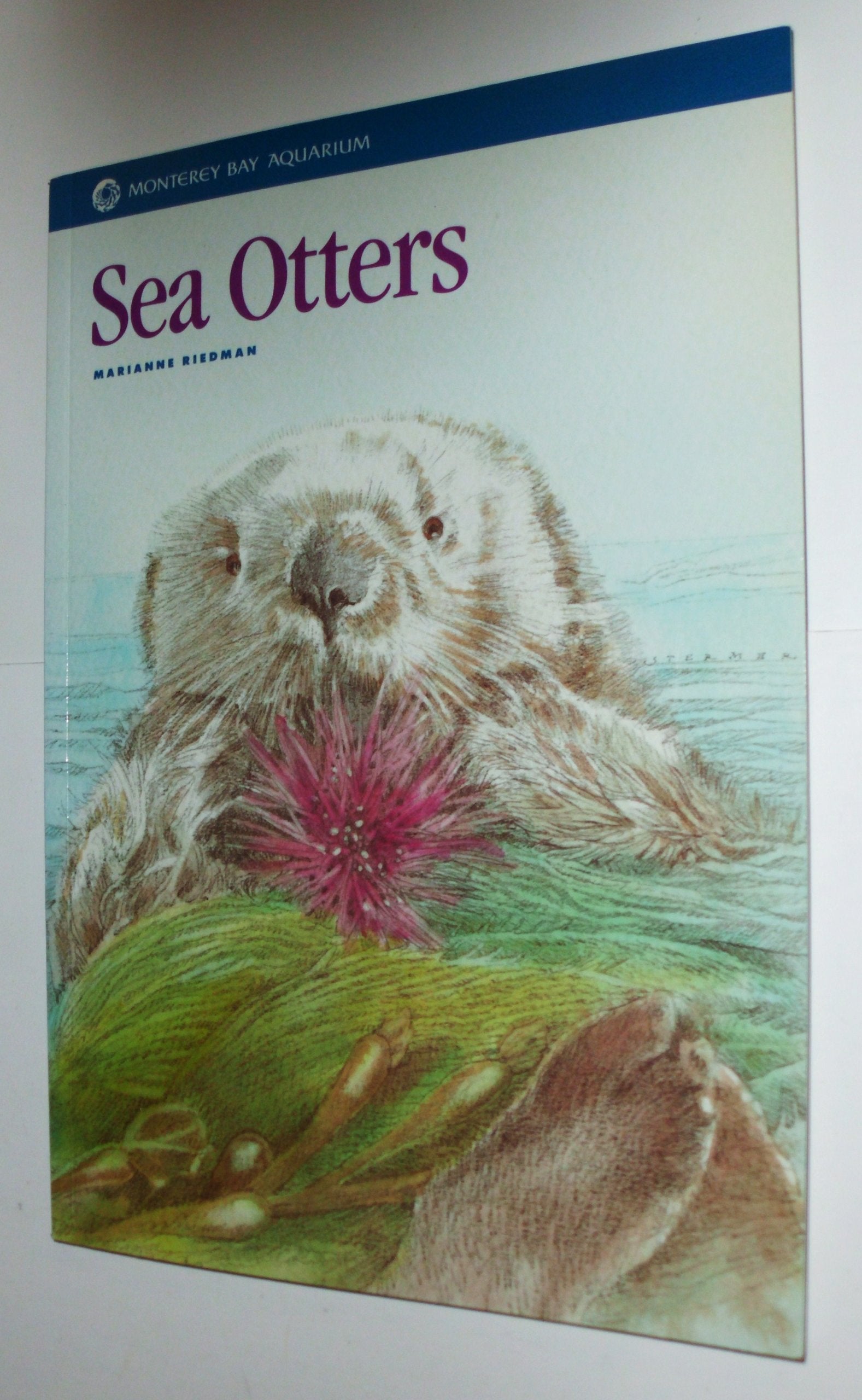 Sea Otters (Monterey Bay Aquarium Natural History Series) Mathematics