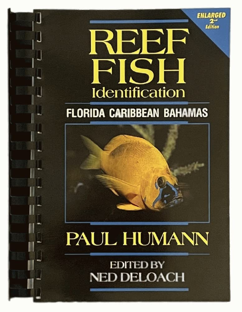 Reef Fish Identification: Florida, Caribbean, Bahamas Natural Sciences