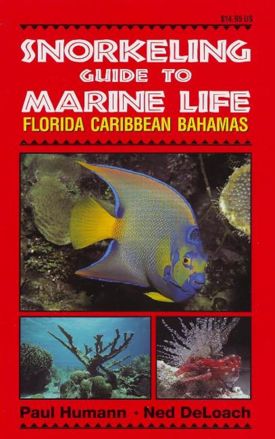 Snorkeling Guide to Marine Life: Florida, Caribbean, Bahamas Mathematics