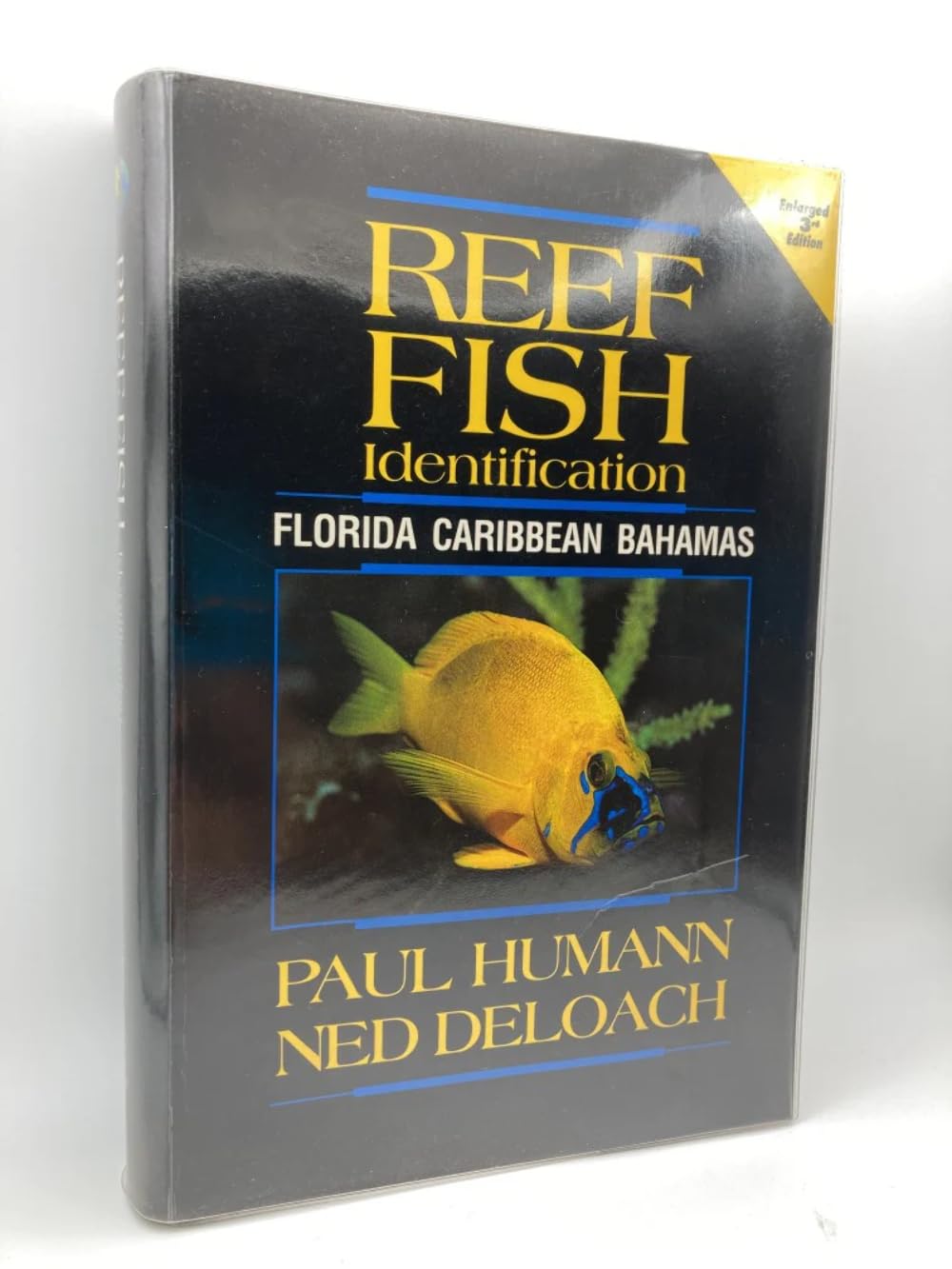 Reef Fish Identification: Florida, Caribbean, Bahamas Mathematics