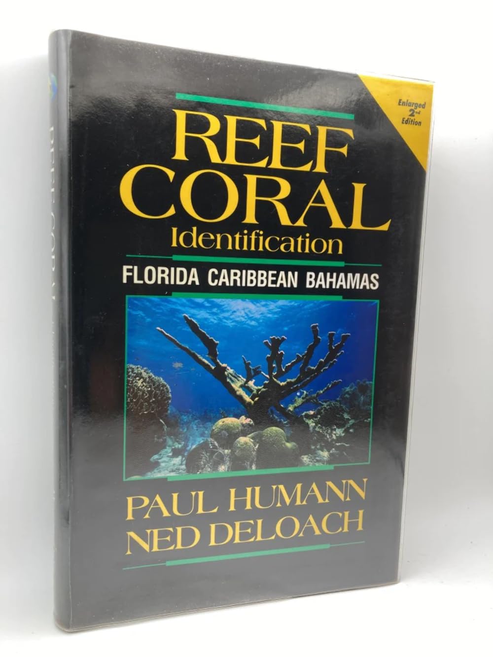 Reef Coral Identification: Florida-Caribbean-Bahamas Geology & Geography
