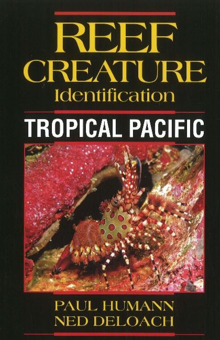 Tropical Pacific Mathematics Books