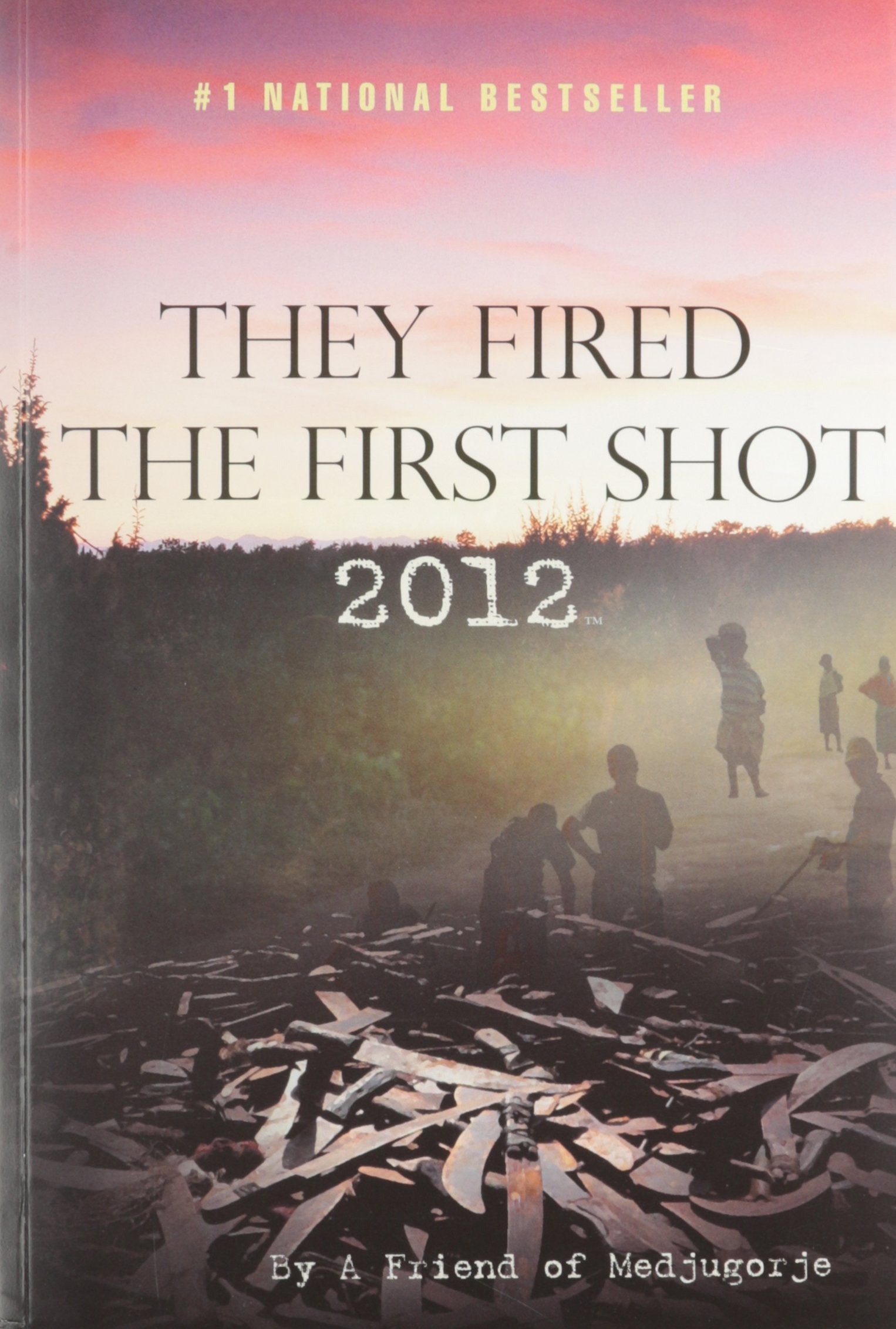They Fired The First Shot 2012 Books