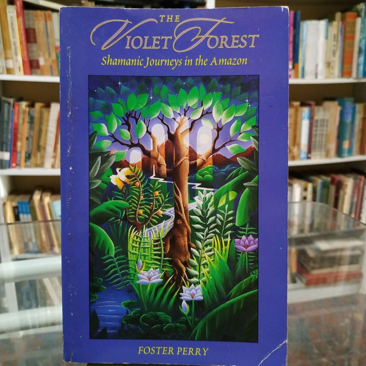 The Violet Forest: Shamanic Journeys in the Amazon book