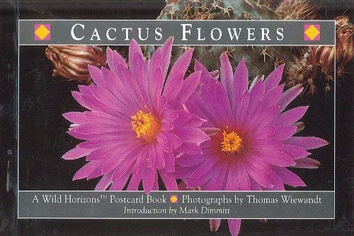 Title: Cactus flowers A wild horizons postcard book book