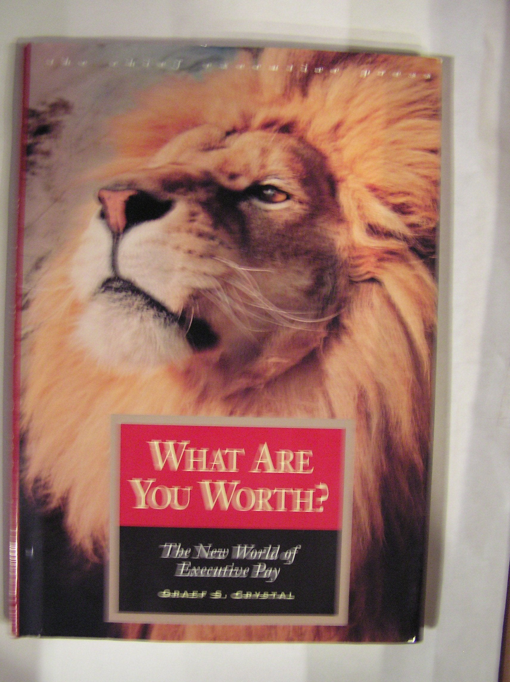 What Are You Worth?: Playing the Pay Game Fairly (The Chief Executive Press Ser) Books