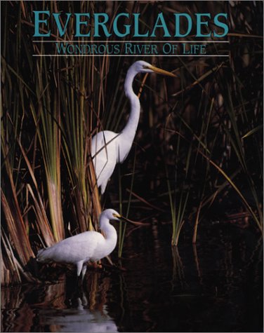 Everglades: Wondrous River of Life Business & Technology