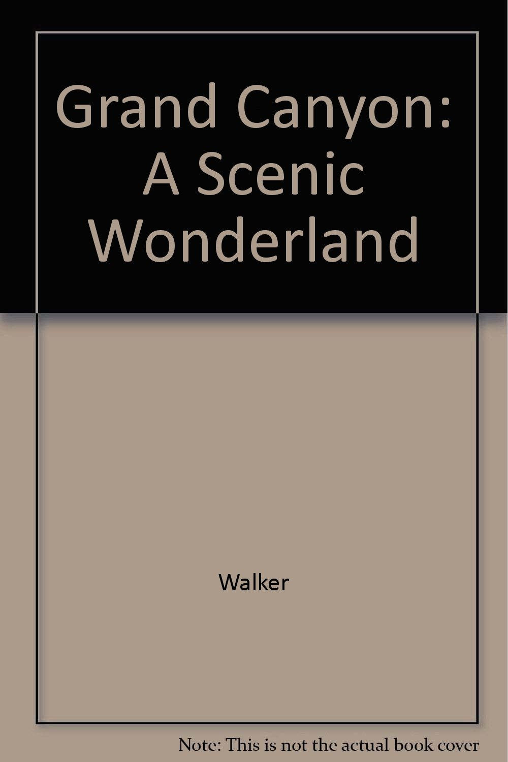 Grand Canyon: A Scenic Wonderland book