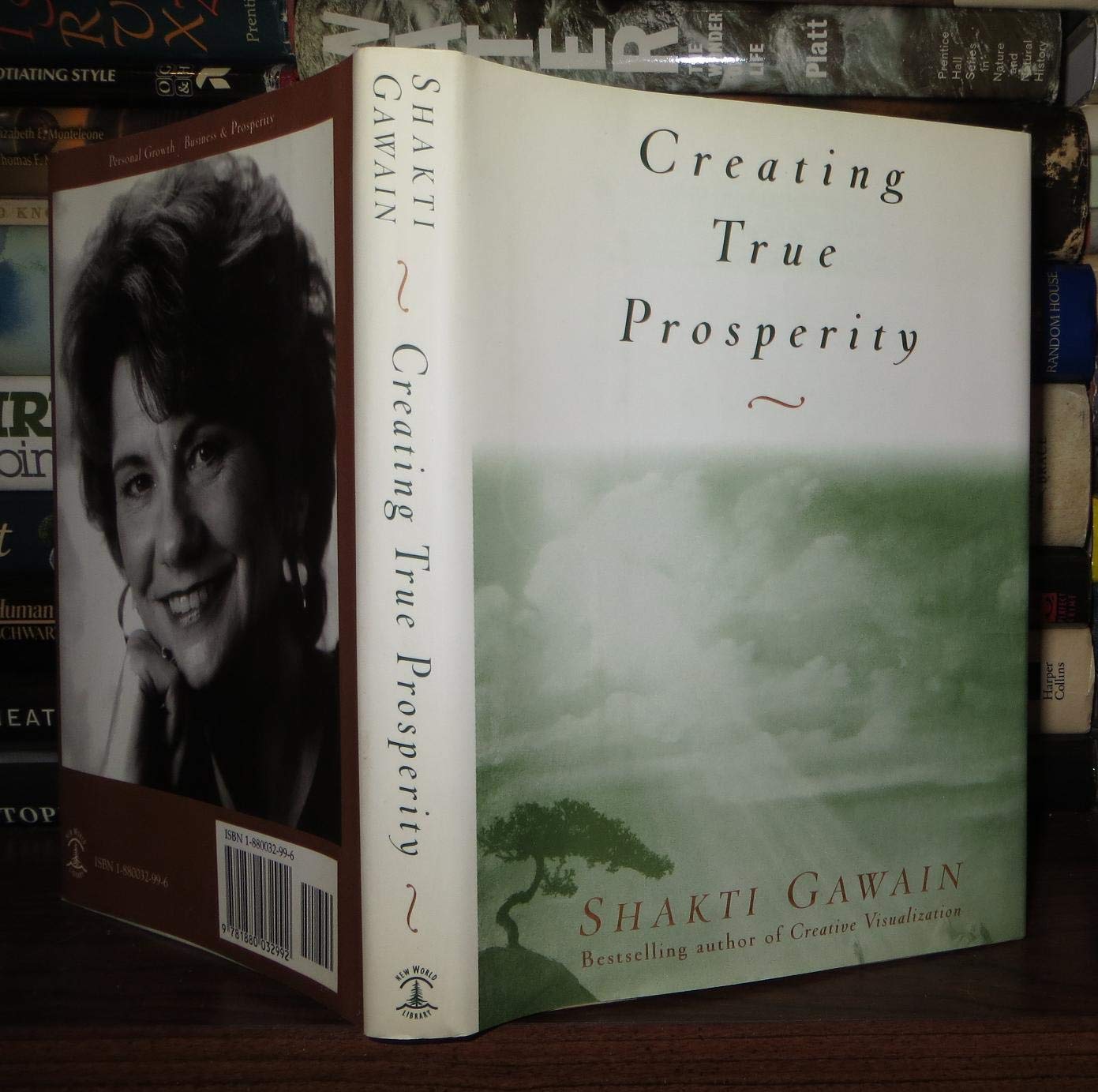 Creating True Prosperity Business, Finance & Career